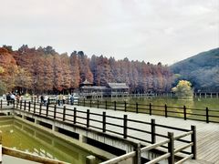 -采石矶景区