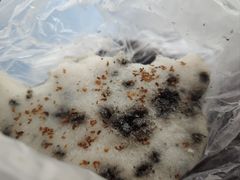 -矮人松糕(小南店)