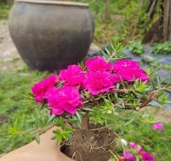 -Oasis Beauty水磨坊科技美肤中心