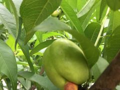 -驿舍·民國老营房院子私房菜(科学会堂店)