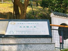-马王堆汉墓遗址