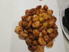 -丁老爷子苏香圆