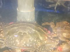 -雅逸居海鲜小厨