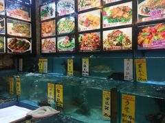-有腥气私房菜·寻味顺德