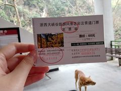 -浙西大峡谷
