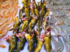 -亚马逊环球美食百汇(新城吾悦广场店)