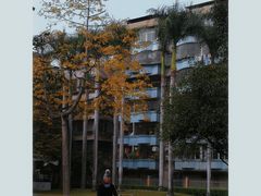 -垂虹公园