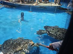 -泉城欧乐堡海洋极地世界