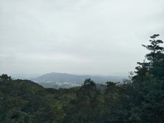 -广州市帽峰山景区
