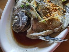 -蓝湾碧波·老字号·疍家非遗海上餐厅
