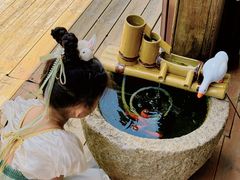-小茶闲舍·观景商务茶馆(广州塔店)