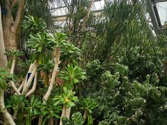 -南山植物园