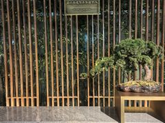 -浅深(北京北四环精品店)