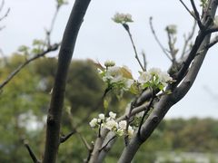 -金山农民画村-枫泾波兰倒置屋