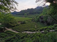 -九曲溪竹筏码头