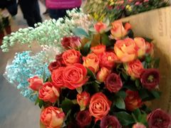 -双季花艺园艺市场(浦东店)