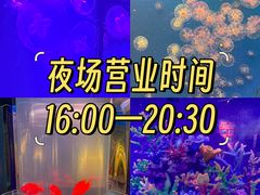 -海合安武汉极地海洋公园
