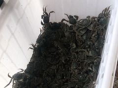 -蟹谢蒸鲜自助餐厅