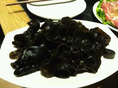 黑木耳-杨家火锅(国美店)