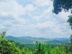 -火炉山森林公园