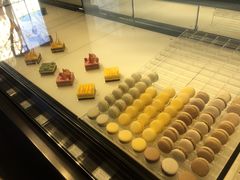-BLACKSWAN黑天鹅(环球店)