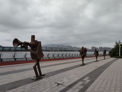 -星光岛