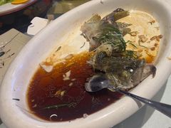 -陶缘一号·四季缘·老字号顺德菜·户外婚礼家宴(西滘店)
