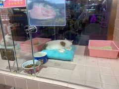 -FAELING PETS美天灵宠物(富力广场店)