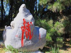 -廊坊市自然公园