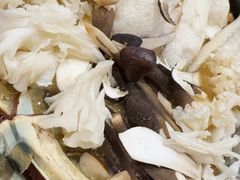 -菌之家·专业纯野生菌火锅·特色炒菌
