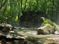 -关门山森林公园