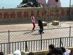 -东方熊牧场