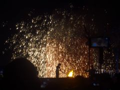 -武汉园博园(武汉自然博物馆)
