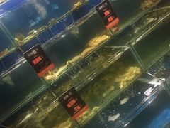 大堂-海味当家·蒸锅海鲜(中山广场创始店)