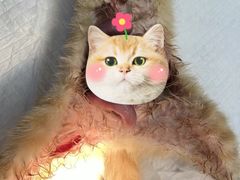 -联合动物医院(光谷诊疗中心)