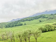-新疆那拉提国家旅游度假区