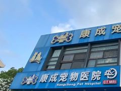 -康成宠物医院24H·CT·核磁共振