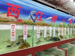 水产区-西江河鲜·趣苑酒楼(鼎湖店)