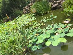 -新湖明珠城