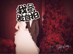 -金夫人婚纱摄影(华南店)