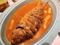 -阿五黄河大鲤鱼(英协路店)