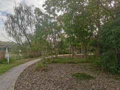 -昆山城市生态森林公园