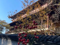 -南京市江宁方山