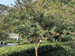 -杭州城北体育公园