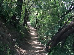 -北京鹫峰国家森林公园