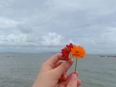 -野狸岛