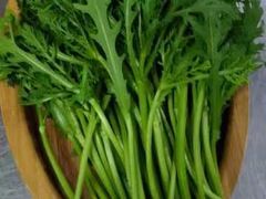 -慢丽江·云南野生菌土鸡锅(付家庄店)