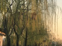 -玫瑰烘焙(商贸街店)