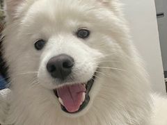 -美联众合24小时·皮肤科·外科·全科诊疗中心(华苑分院)