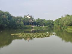 -西溪国家湿地公园